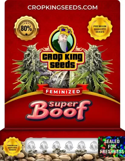 Super Boof Strain
