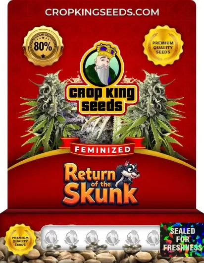 Return of the Skunk Strain