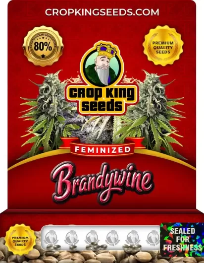 Brandywine Strain