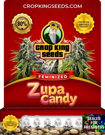 Zupa Candy Strain