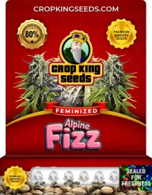 Alpine Fizz Strain