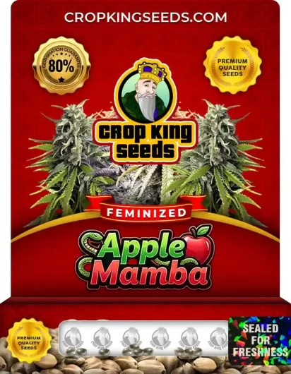 Apple Mamba Strain