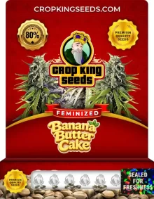 Banana Butter Cake Strain