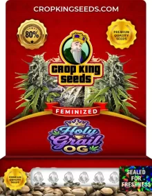 Holy Grail OG Strain