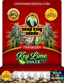 Key Lime Dulce Strain