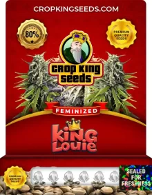 King Louie (Curio) Strain