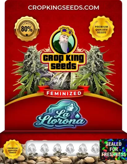 La Llorona Strain