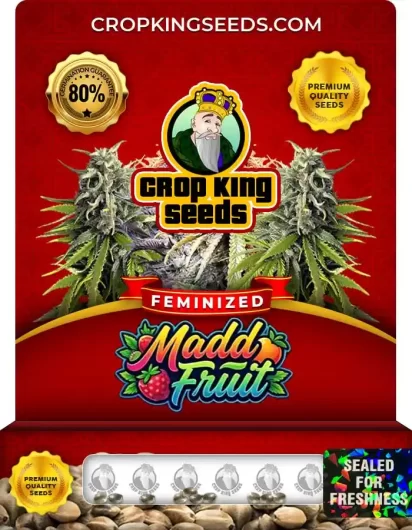 Madd Fruit Strain