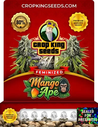 Mango Ape Strain