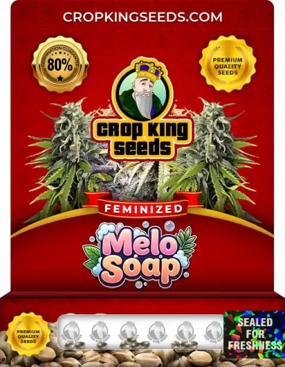 Melo Soap Strain