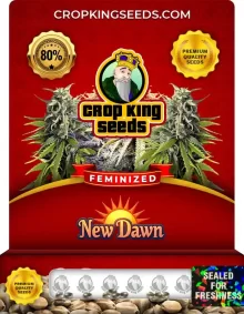 New Dawn Strain