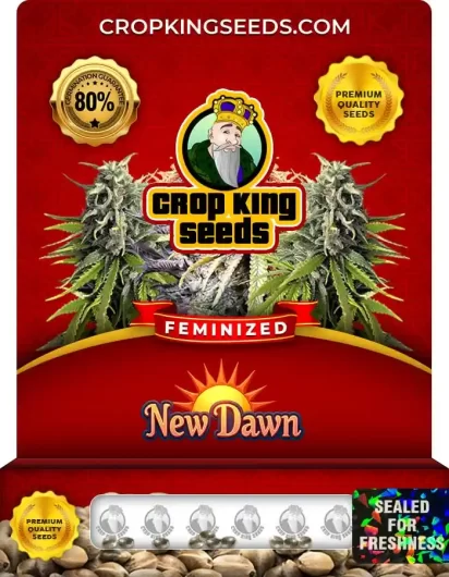 New Dawn Strain