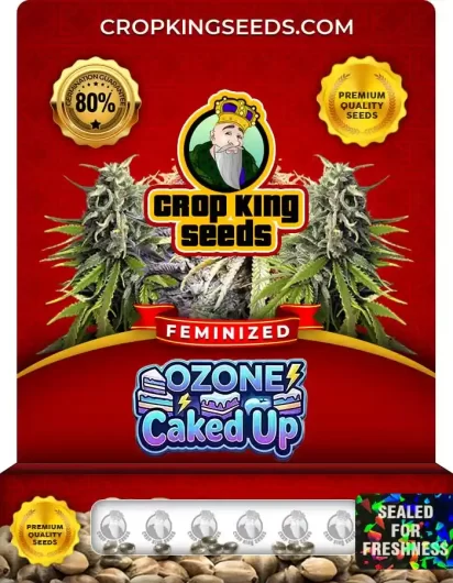 Ozone Caked Up Strain