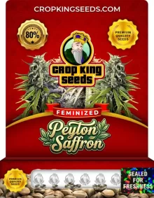 Peyton Saffron Strain