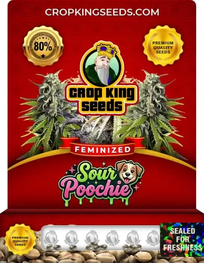 Sour Poochie Strain