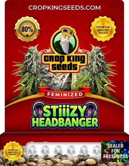 Stiizy Headbanger Strain
