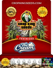 The Cream Strain