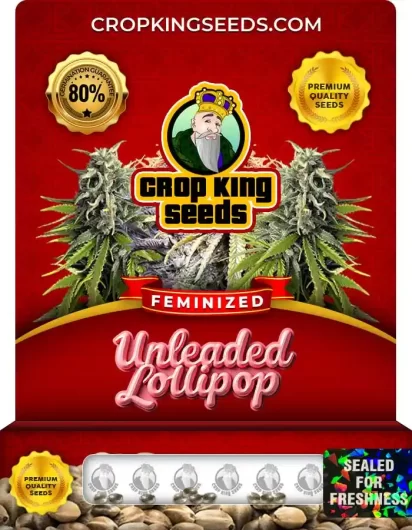 Unleaded Lollipop Strain