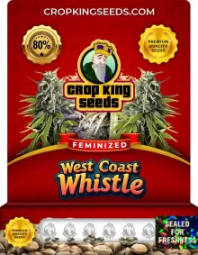 West Coast Whistle Strain
