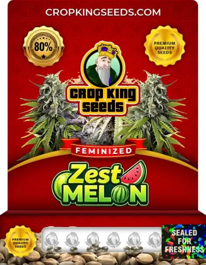 Zest Melon Strain