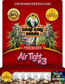 Air Tight #3 Strain