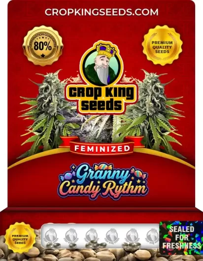 Granny Candy Rhythm Strain