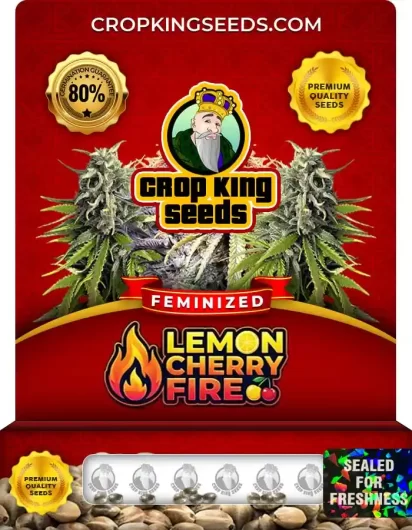 Lemon Cherry Fire Strain
