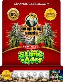 Slime Ade Strain