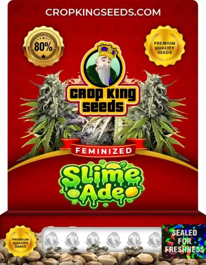 Slime Ade Strain