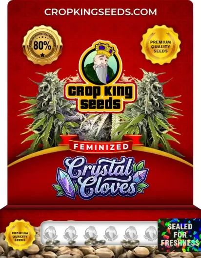 Crystal Cloves Strain