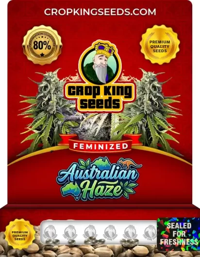 Australian Haze