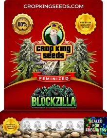 Blockzilla Strain