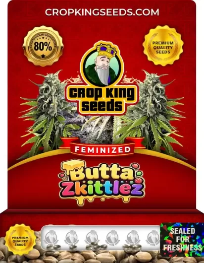Butta Zkittlez Strain