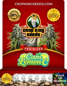 Cam Lemon C Strain