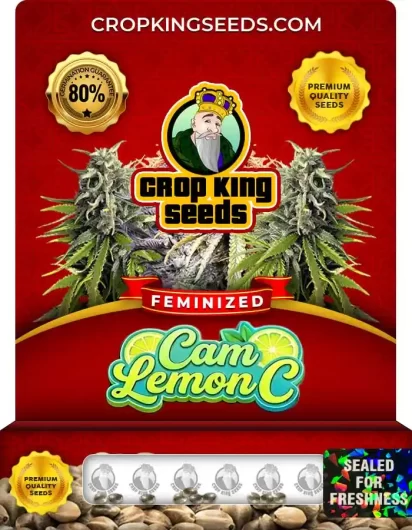 Cam Lemon C Strain