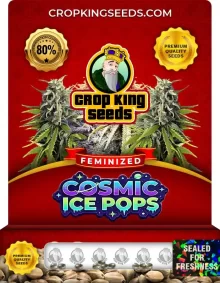 Cosmic Ice Pops Strain