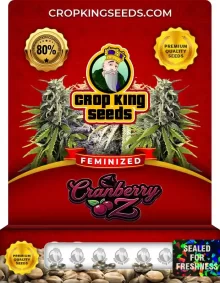 Cranberry Z Strain
