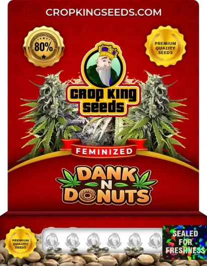 Dank N Donuts Stain