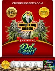 Dd 420 Strain