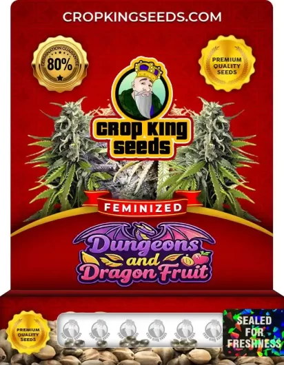 Dungeons and Dragon Fruit Strain
