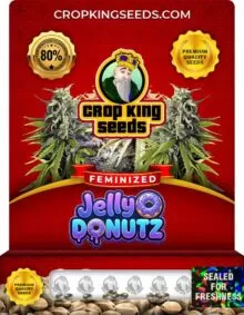 Jelly Donutz Strain