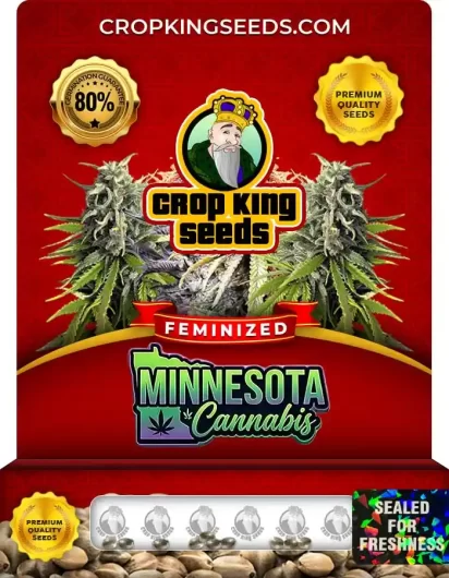 Minnesota Cannabis Strain