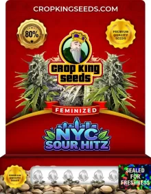 NYC Sour Hitz Strain