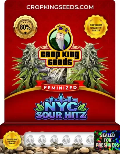 NYC Sour Hitz Strain