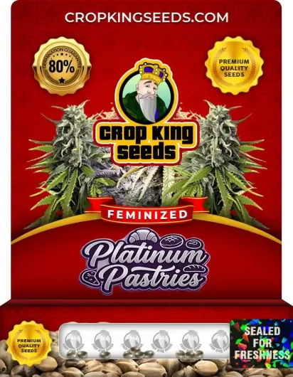 Platinum Pastries Strain
