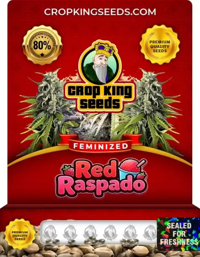 Red Raspado Strain