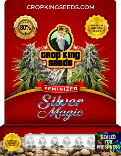 Silver Magic Strain