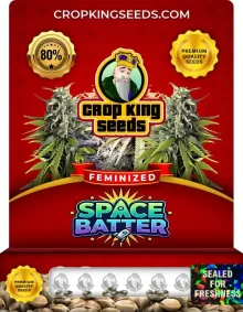 Space Batter Strain