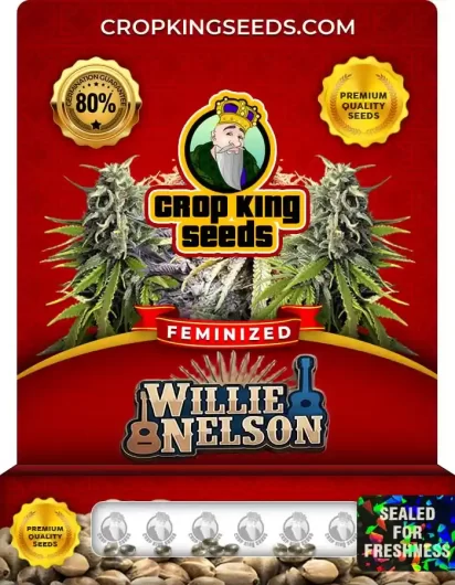 Willie Nelson Strain