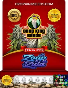 Zoap Zula Strain